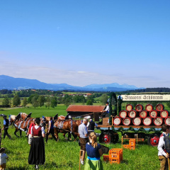 Bierzeltabend in Bayern